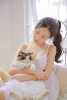 烟花视频高清